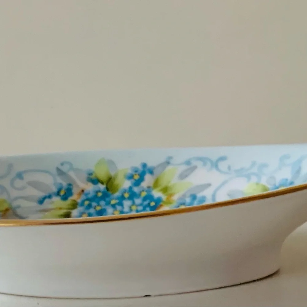 Nippon Hand-Painted Relish Dish Beautiful Floral Scene 9